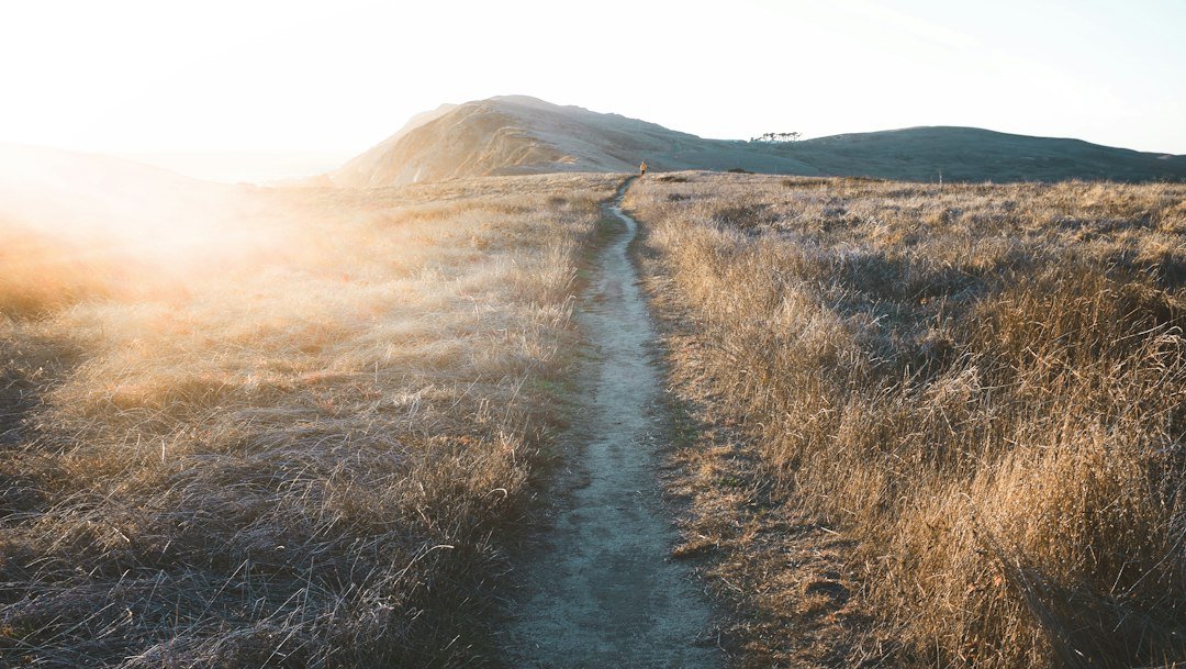 Sendero al amanecer como símbolo de volver a empezar